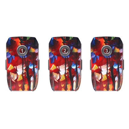 Skin para batería de cuerpo PVC diseño 2 SUNNYLIFE para MAVIC 2